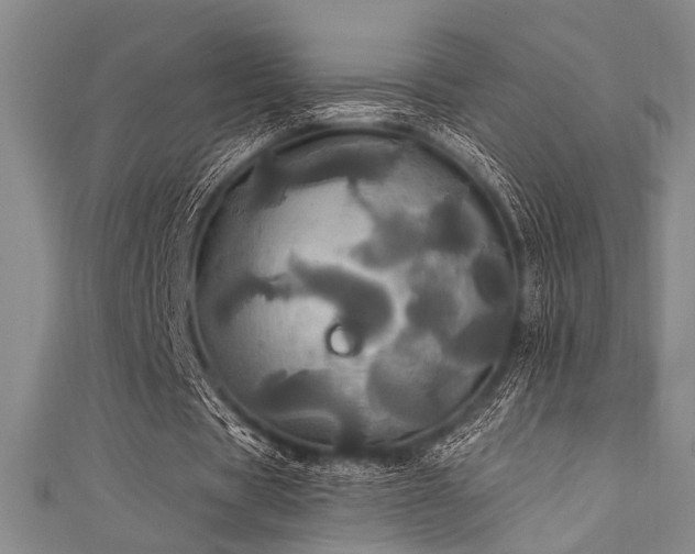 X0000111420529200907131204