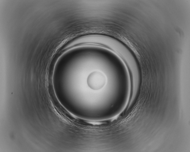 X0000111420530200907131204