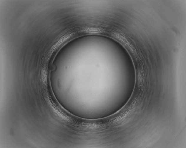 X0000111420533200907131204