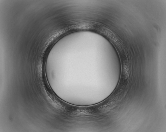 X0000111420534200907131204