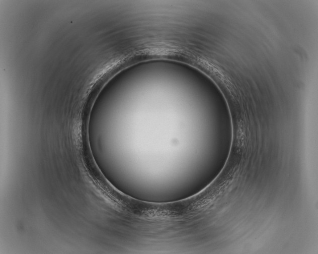 X0000111420535200907131204