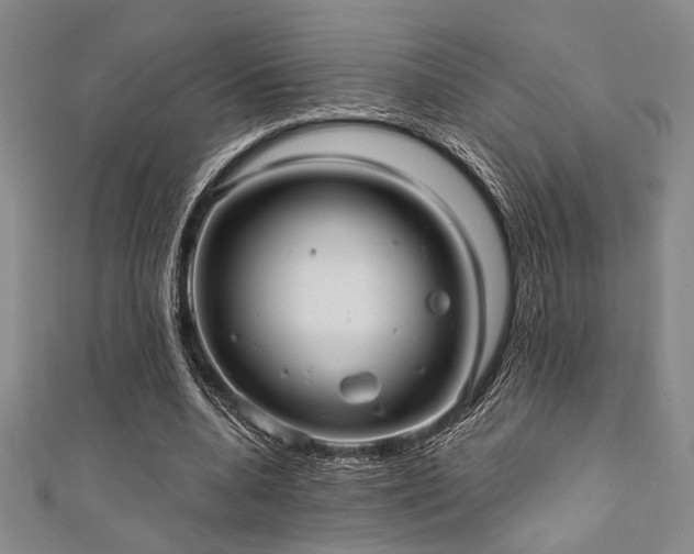 X0000111420536200907131204