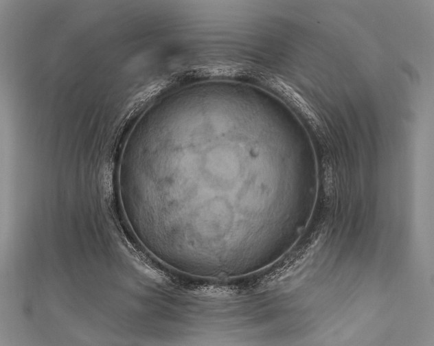 X0000111420537200907131204