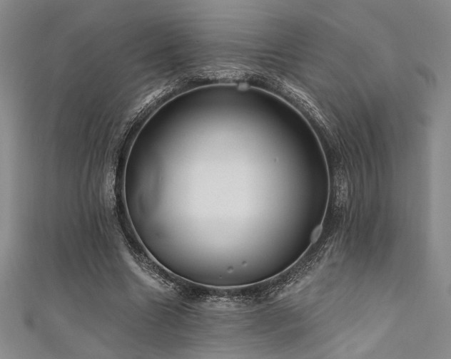 X0000111420538200907131204