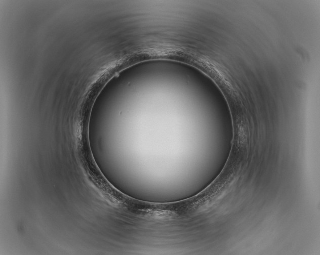 X0000111420539200907131204