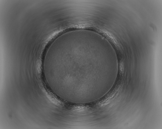 X0000111420540200907131204