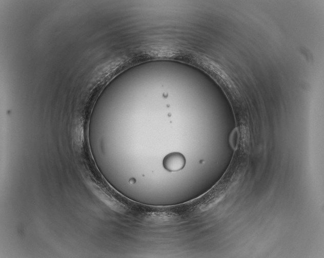 X0000111420541200907131204