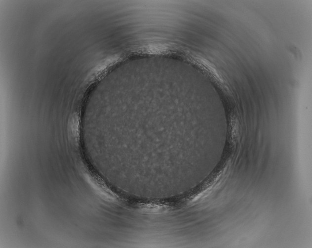 X0000111420542200907131204