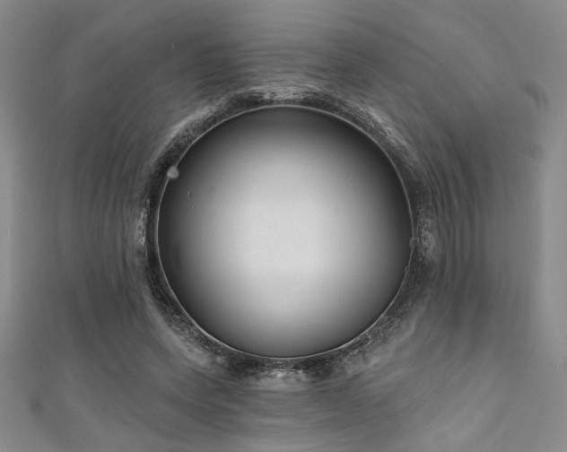 X0000111420543200907131204