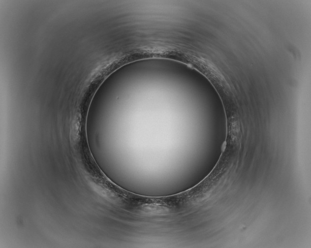 X0000111420544200907131204