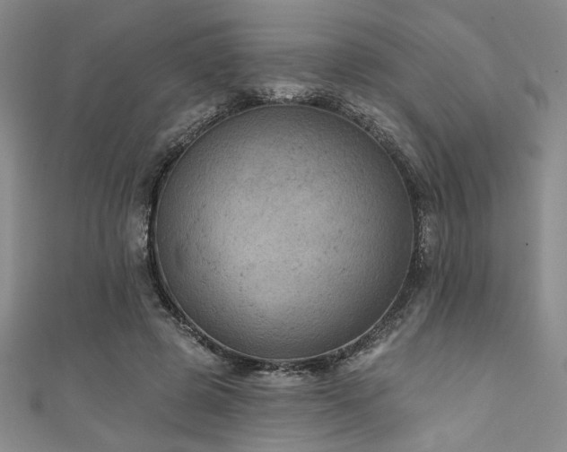 X0000111420545200907131204