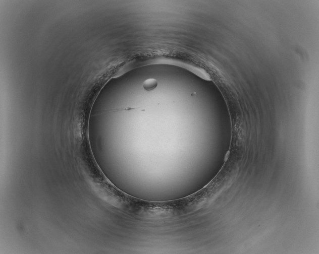 X0000111420546200907131204