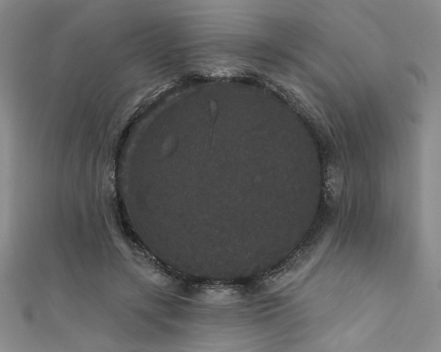 X0000111420547200907131204