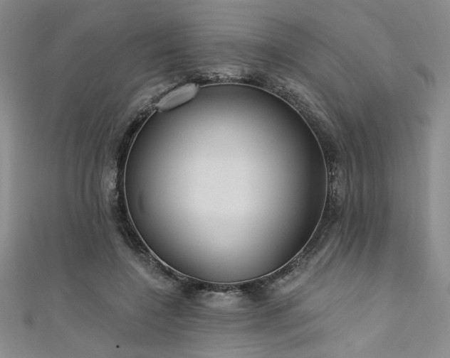 X0000111420548200907131204