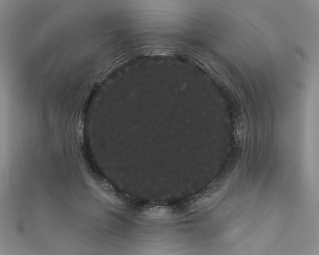 X0000111420551200907131204