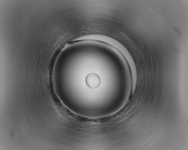 X0000111420552200907131204