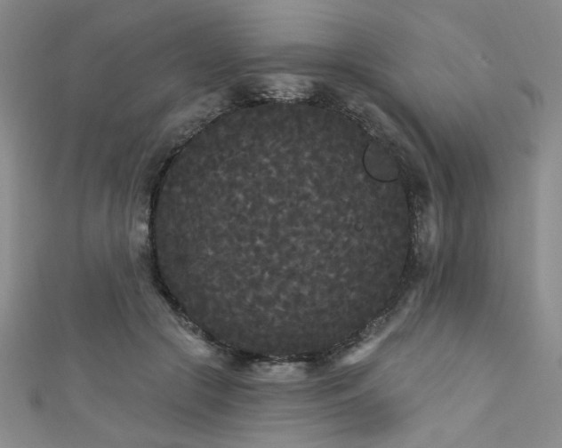 X0000111420553200907131204