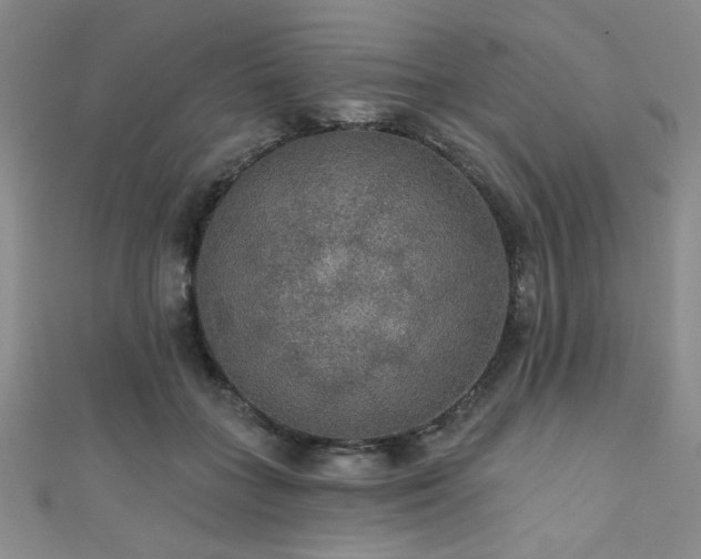 X0000111420555200907131204