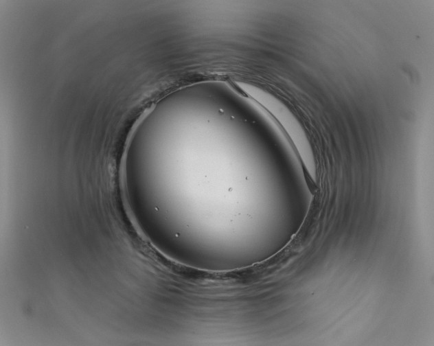 X0000111420556200907131204