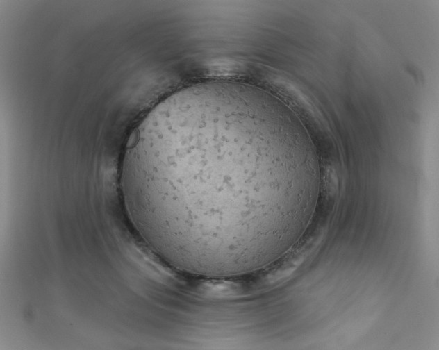 X0000111420557200907131204