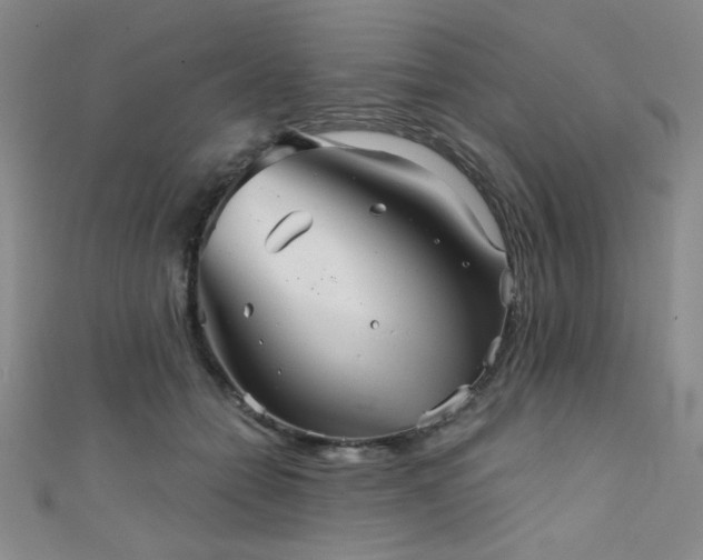 X0000111420558200907131204