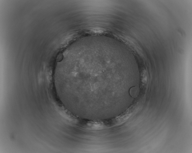 X0000111420559200907131204