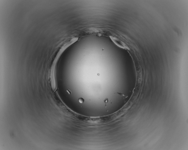 X0000111420560200907131204