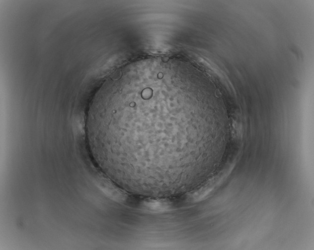 X0000111420561200907131204