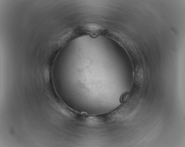 X0000111420562200907131204