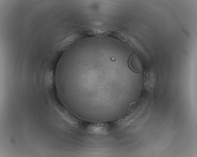 X0000111420563200907131204