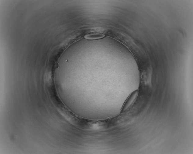 X0000111420564200907131204