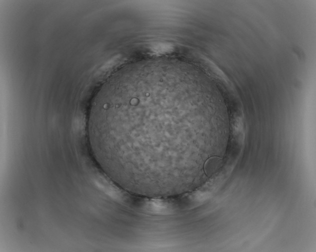 X0000111420565200907131204