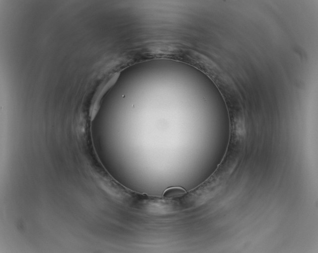 X0000111420567200907131204