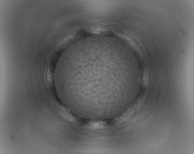 X0000111420569200907131204