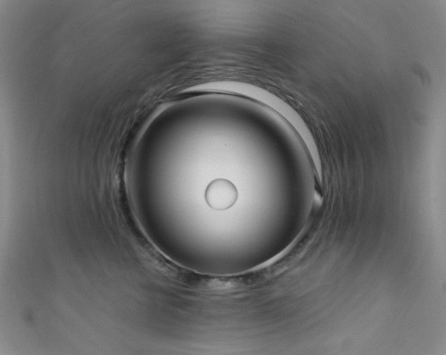 X0000111420570200907131204