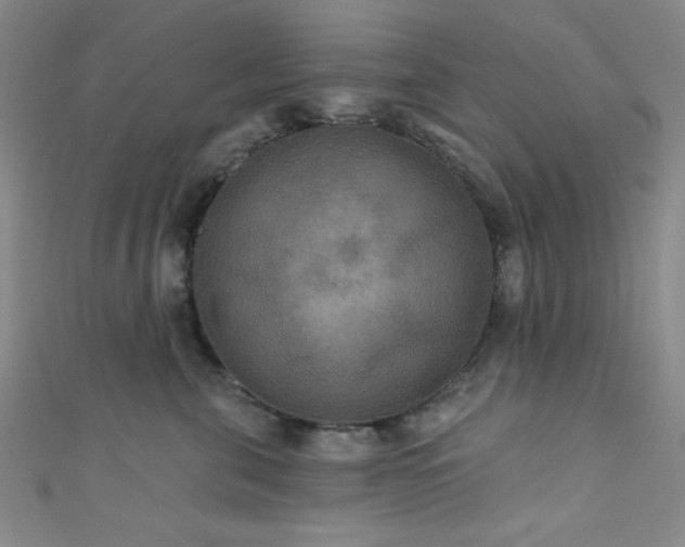 X0000111420571200907131204