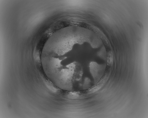 X0000111420573200907131204