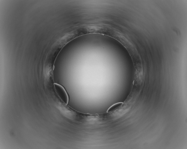 X0000111420574200907131204