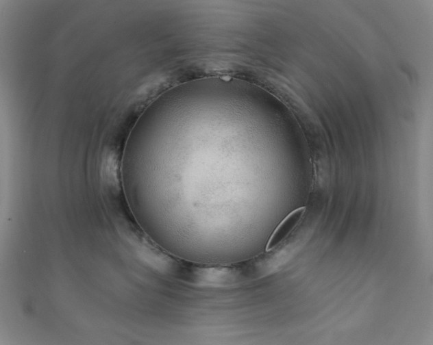 X0000111420575200907131204