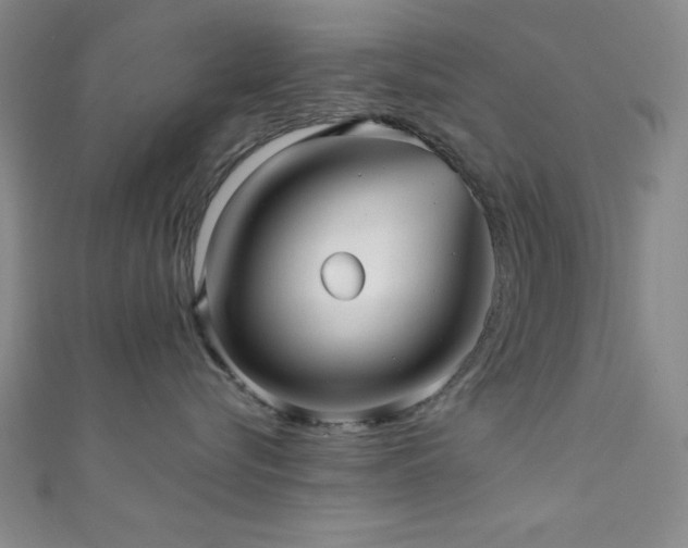 X0000111420576200907131204