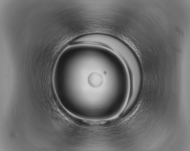 X0000111420577200907131204