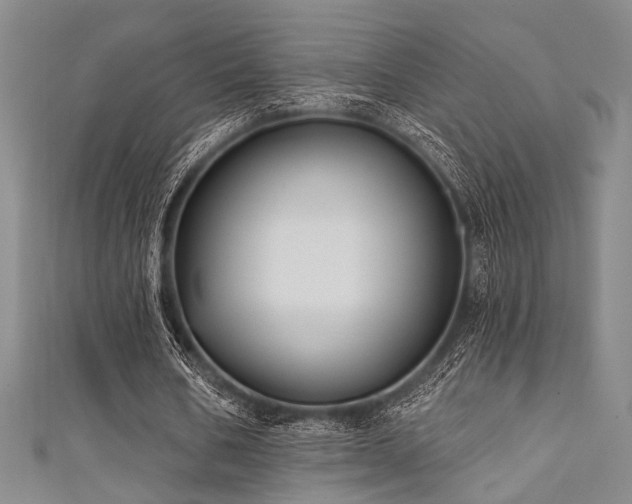 X0000111420578200907131204