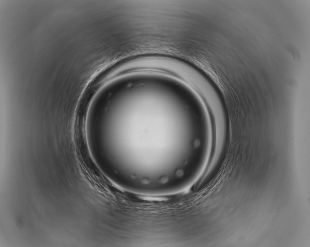 X0000111420579200907131204