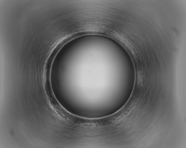 X0000111420580200907131204