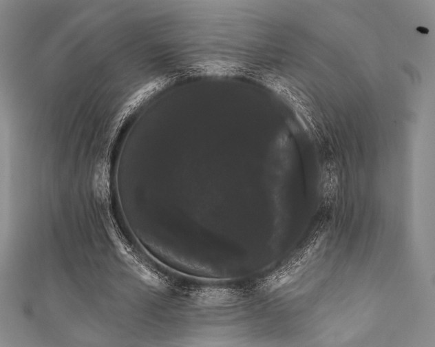 X0000111420581200907131204