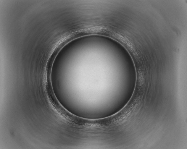 X0000111420582200907131204