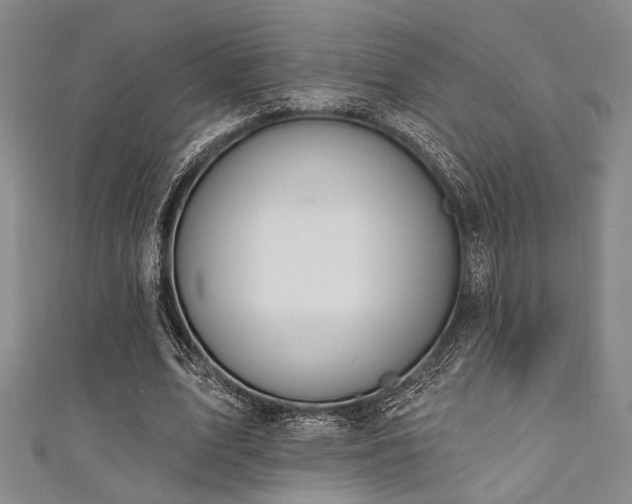 X0000111420583200907131204