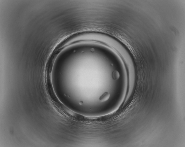 X0000111420584200907131204