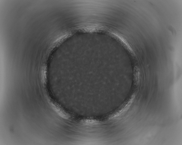 X0000111420590200907131204