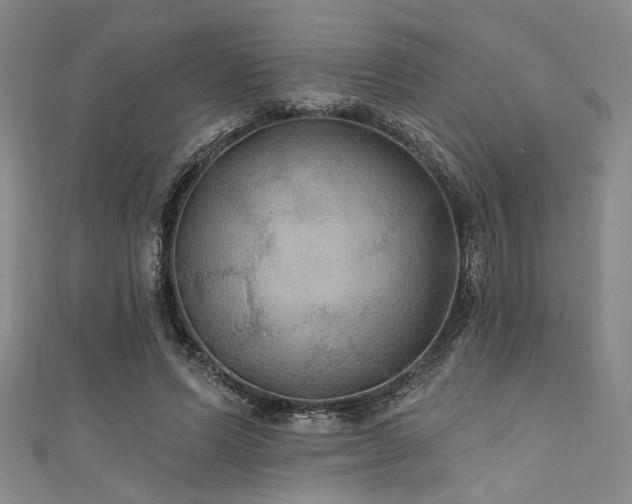 X0000111420591200907131204